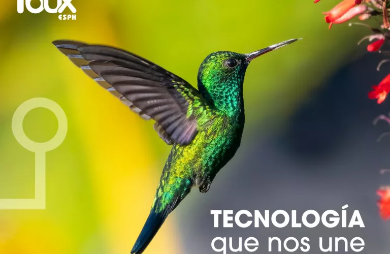 Colibrí con logo de Ibux